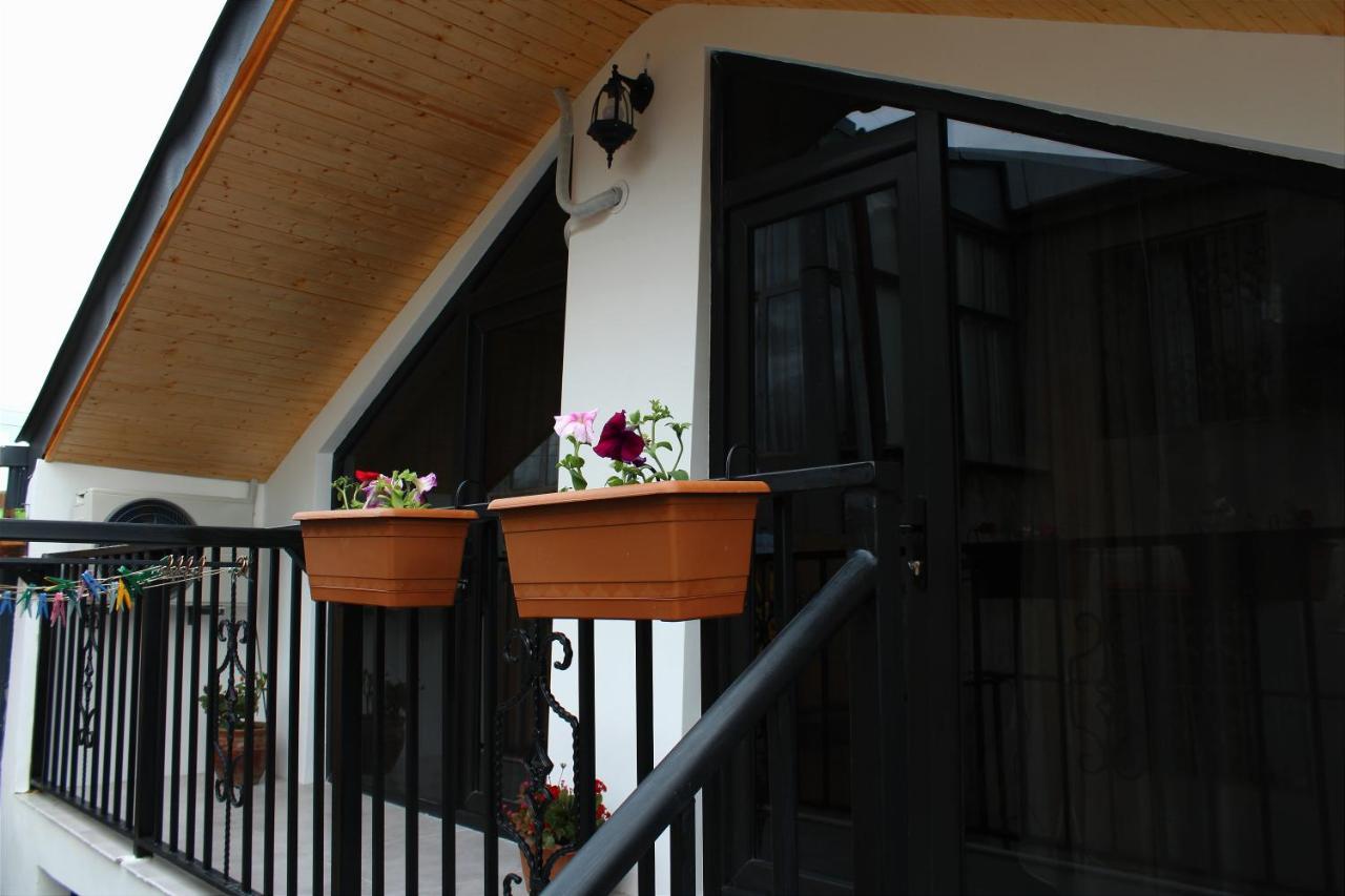 Nitsa Guest House Gori Exteriér fotografie